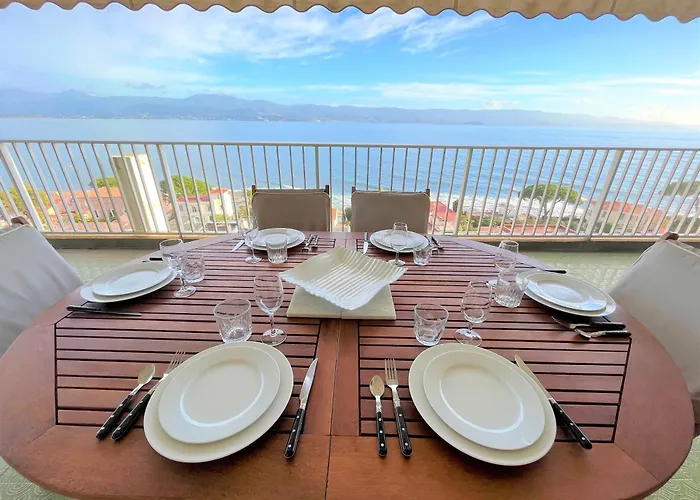 Vue Carmino 公寓 阿雅克肖